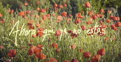 Captura de pantalla 2024-08-26 171618.png