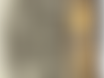 A French print by Delaune translated the top of a German wheellock pistol.