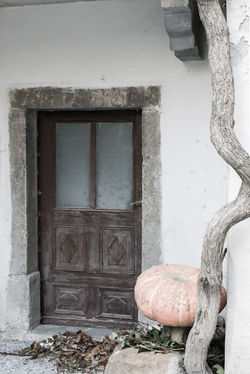 Village Doorway, Slovenia