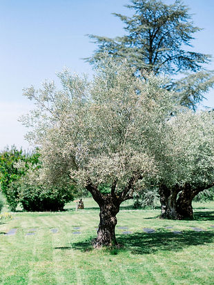 olivier chateau gassies