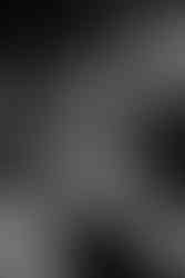 cocktails pour soirée d'entreprise, atelier de mixologie