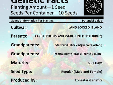Land Locked Island lineage – Star Pupil, Trop Runtz, Thai, Afghani, Pakistani, Tropical Truffle, Runtz - Lonestar Genetics