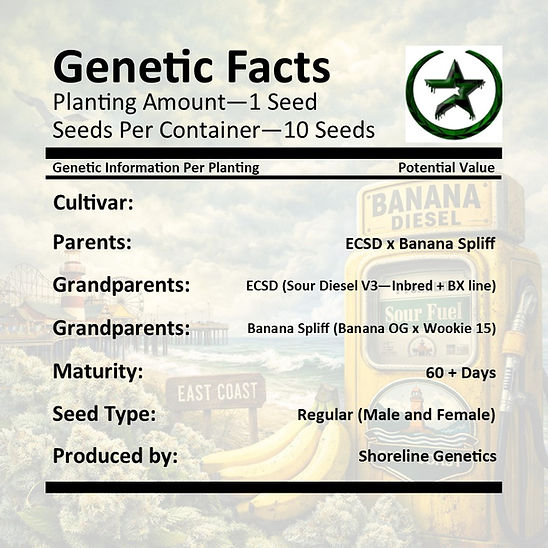 Banana Diesel - 10 Seeds | Texan Hemp
