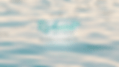 RW-Wixmovingwater52-ezgif.com-optimize.gif