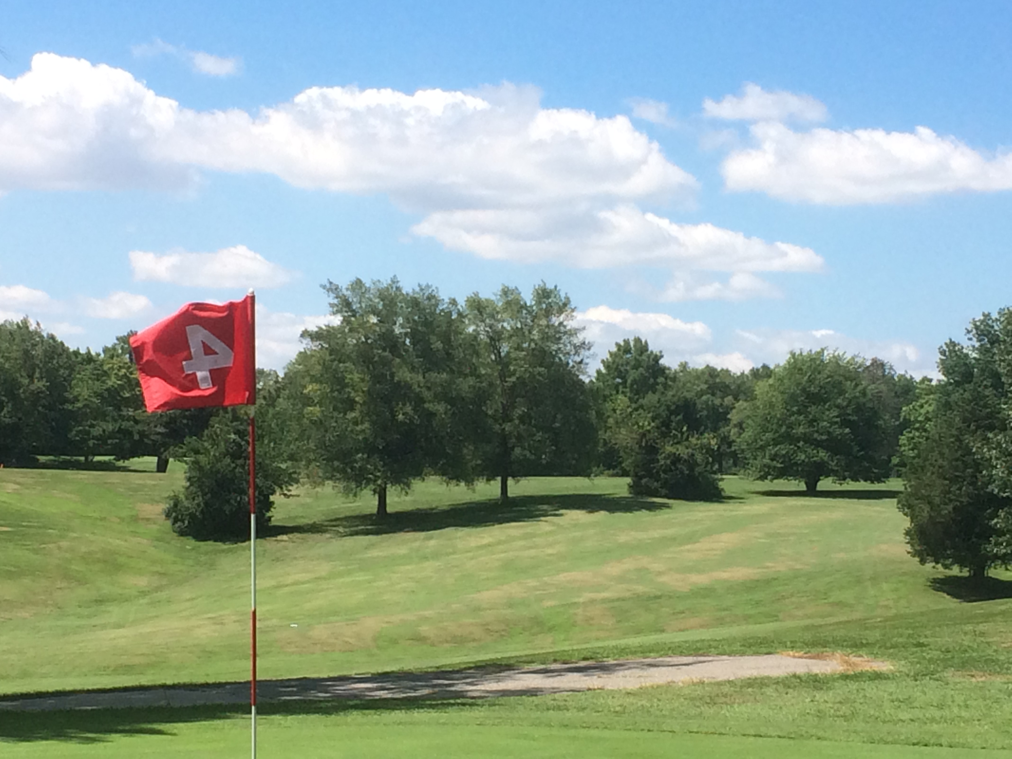 Home elmwoodgolf Home elmwoodgolf