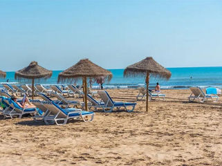 Aprobado el proyecto para instalar sombrillas y hamacas en las playas de Torrevieja