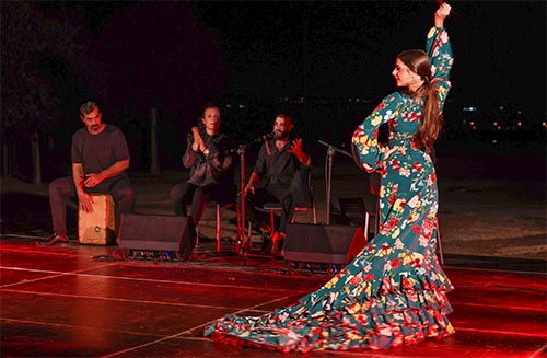 Flamenco & Sal