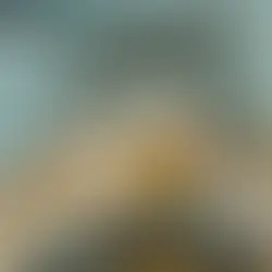 Wild Yeast, Citizen Science, and Brewing Innovation