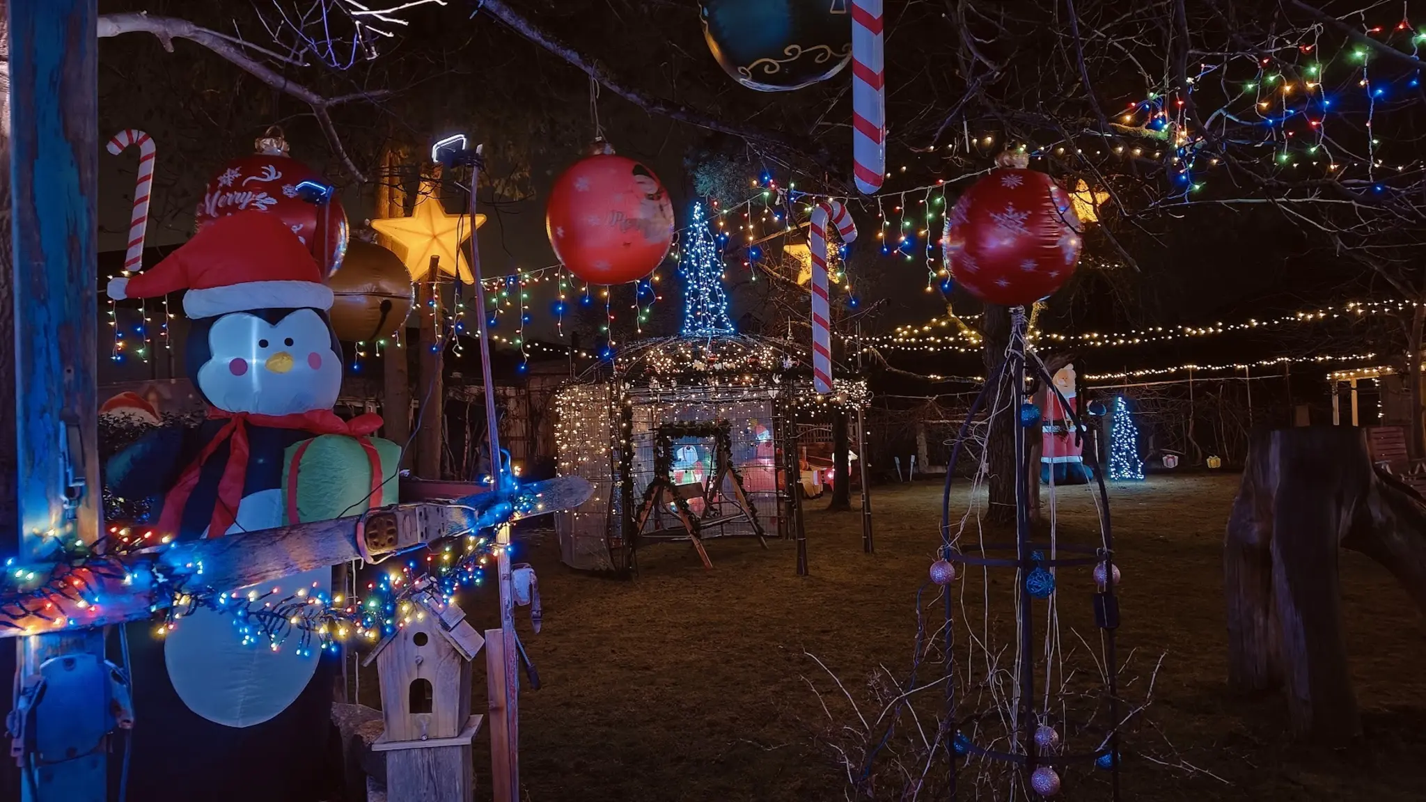 Bilder vom Weihnachtsgarten von Kurt Karasek