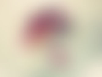 スイーツ大好き中島の日常