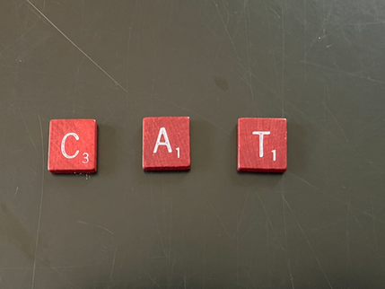  Math Lesson #9:  How many 3-letter combinations?