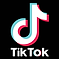 TikTok Logo.png