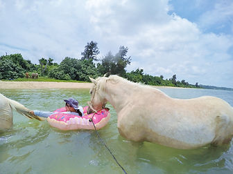 GOPR3826.JPG