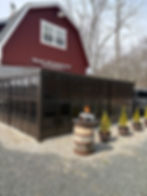 IMG_9927.jpeg