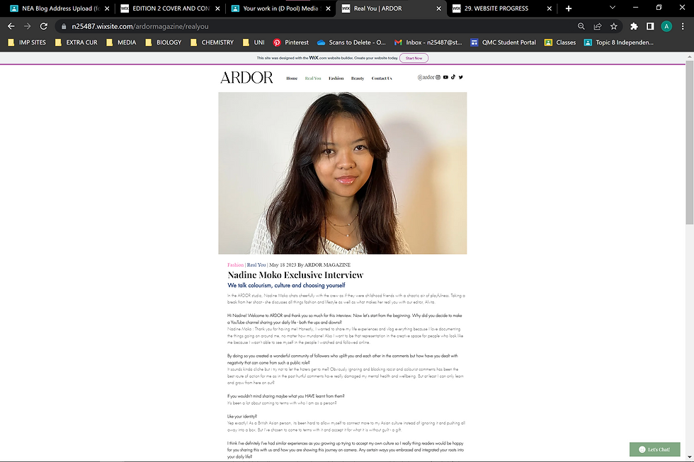 41. WEBSITE PROGRESS 2