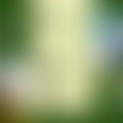 Flyers, Brochures, Posters Design