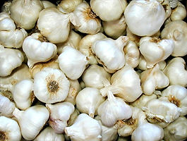 What to do in the garden now - jobs for the garden in November