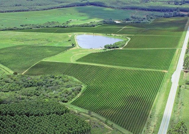 Vinhos oficiais das Olimpíadas Rio 2016