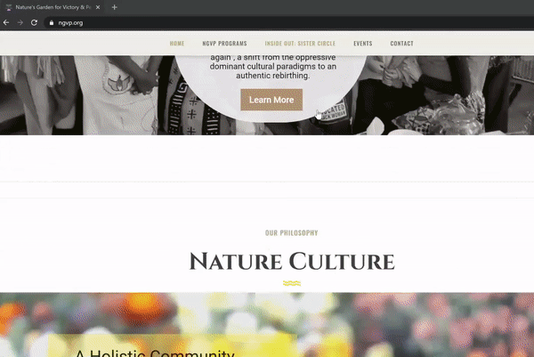 NGVP Gif.gif