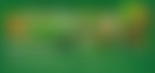 Programm Sommer/Frühherbst 2024