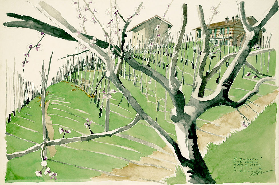 1994-C.Boschetti.38x57-38x57-AquarellArches-Papier