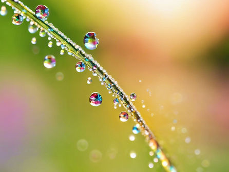 Spirit Release Therapy Session