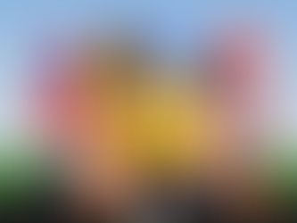 Solving Issues Component of THIS REAL – Social Studies – Upper Elementary