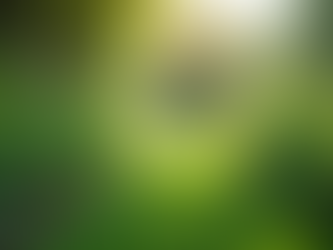 The Importance of Sustainable Living in Today's World