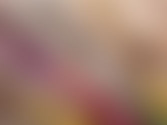 Volgend jaar extra belastingvrij schenken