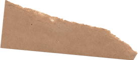 Ashley_paper_edited.png