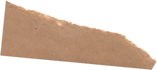 Ashley_paper_edited.png