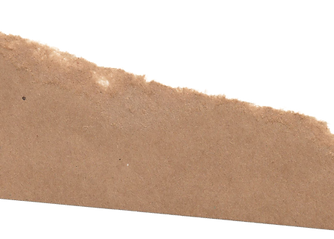 Ashley_paper_edited.png