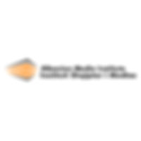 13 albanian media institute