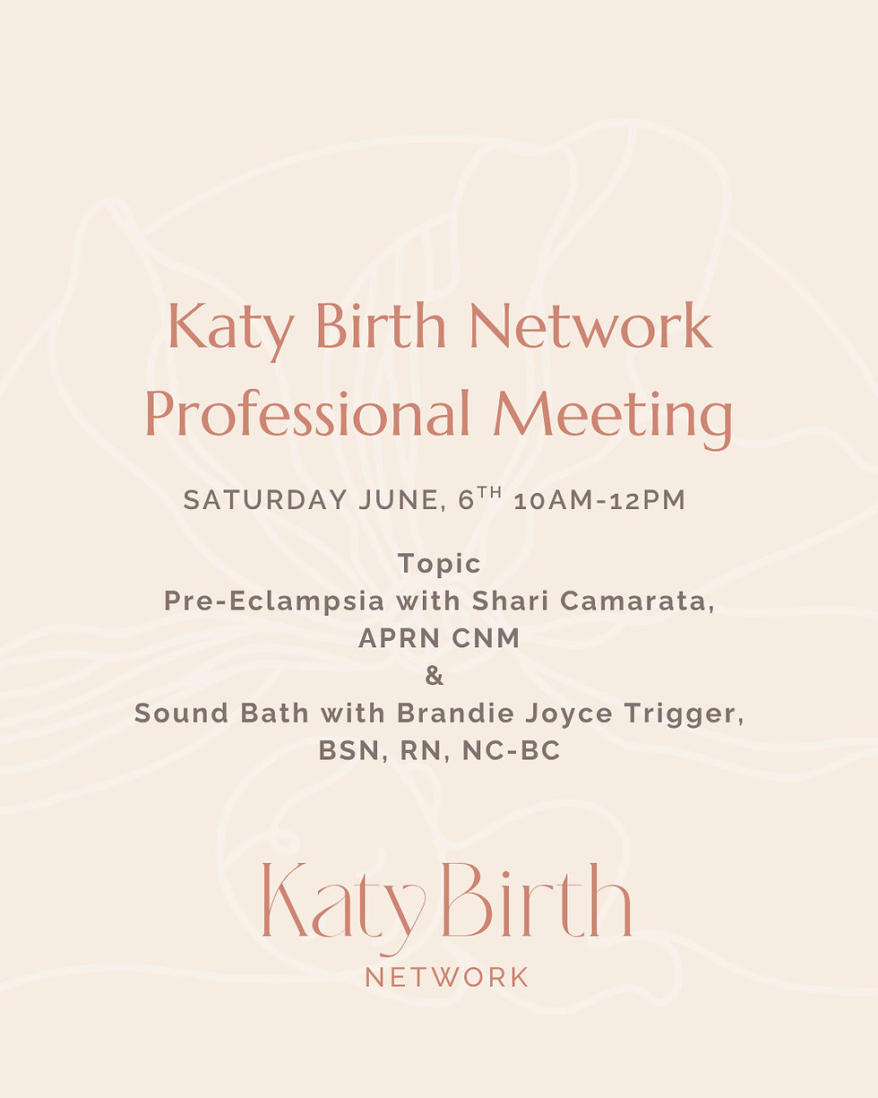 KBN Professional Meeting June