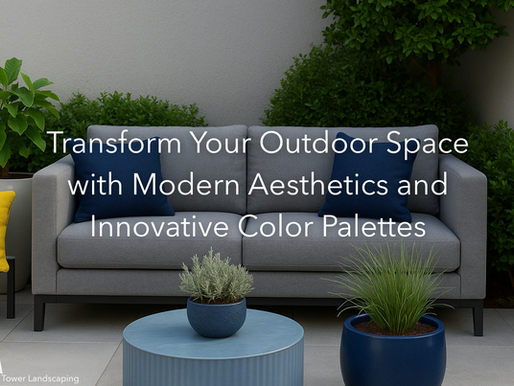 Transform Your Outdoor Space with Modern Aesthetics and Innovative Color Palettes
