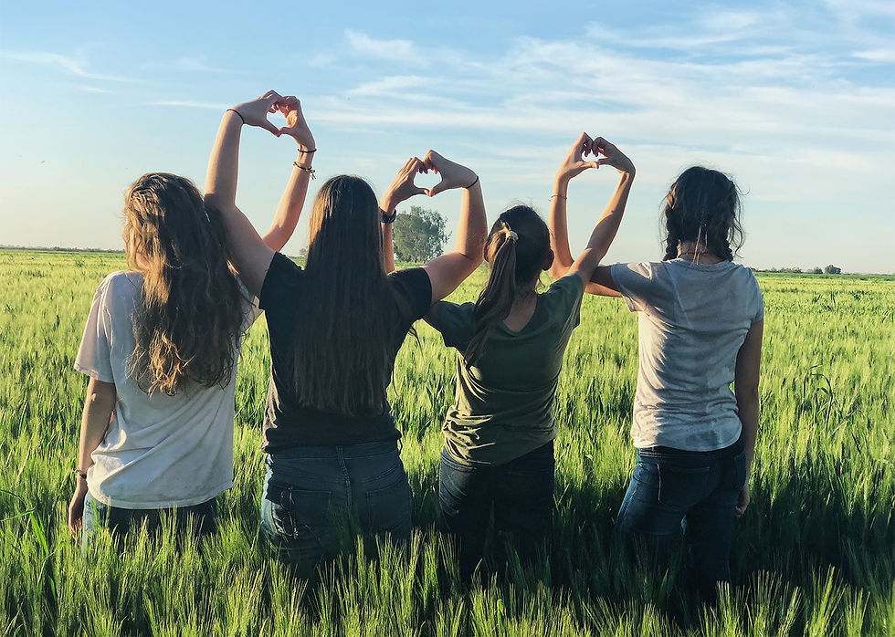 Group of women holding hands in a field