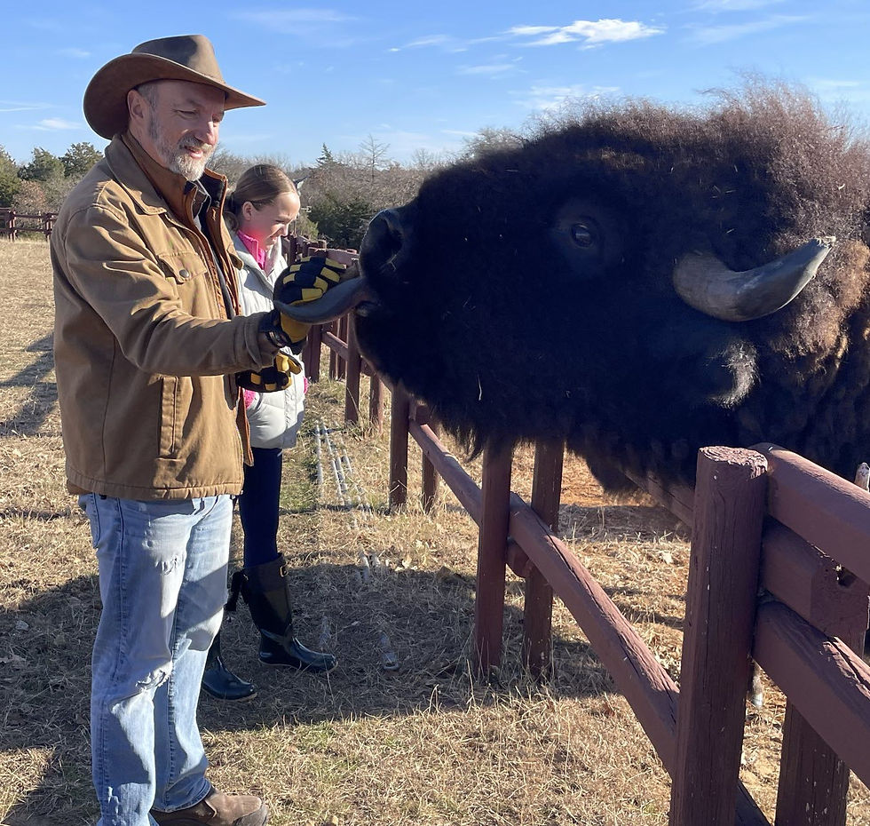 Grant feeding a rescued buffalo at a non profit animal rescue sanctuary in Texas