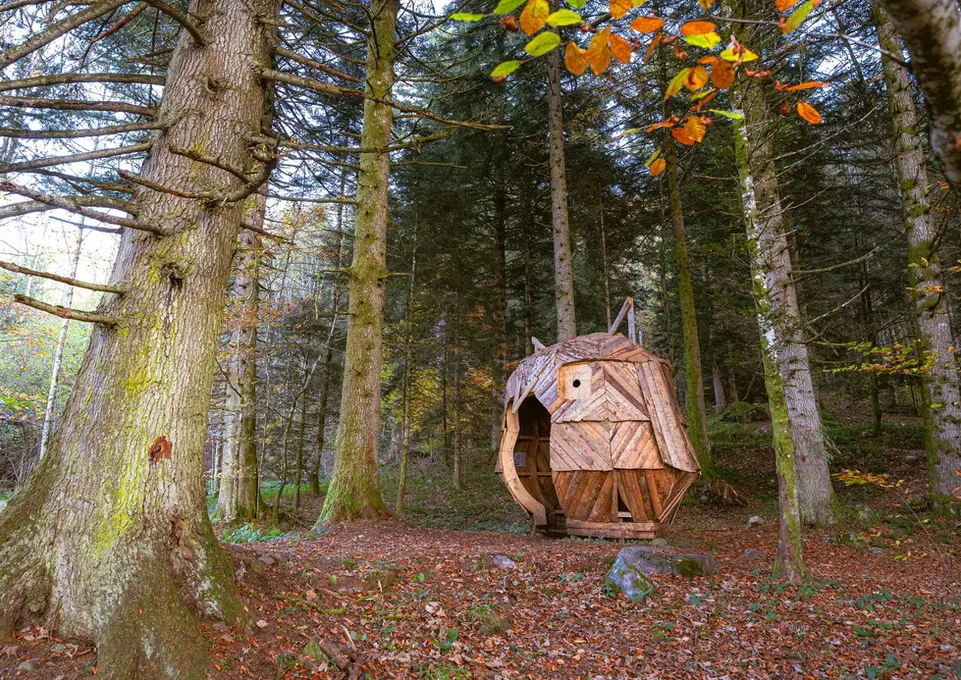 Photo d'une cabane en forme d'hibou dans la foret, à l'automne