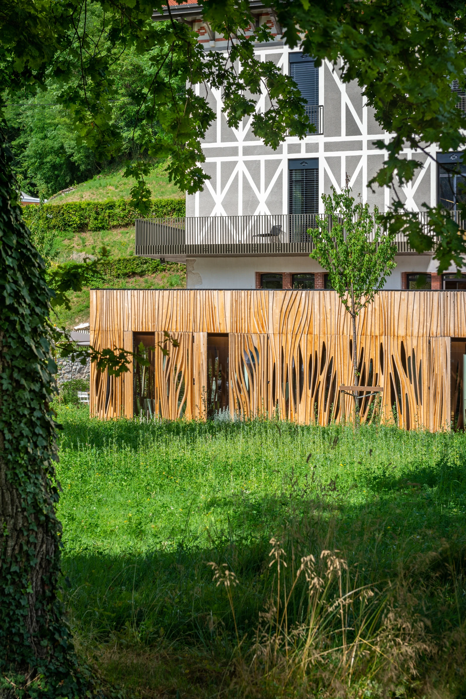 Vue depuis le parc sur l'extension bois châtaignier de La Maison Aribert, présentée par Joëlle Personnaz lors de sa conférence sur l'architecture bois en façade, Lyon 2022. Photo D. Richalet.