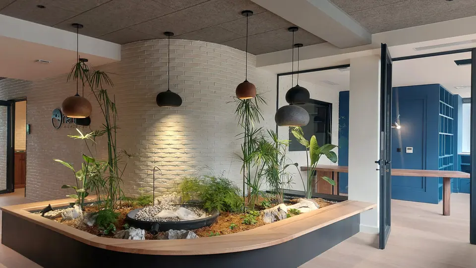 Photo de l'intérieur du bureau-laboratoire Hemera. On y voit l'accueil avec une jardinière