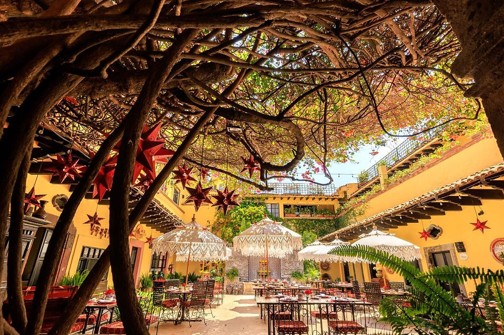 Tucked along Aldama, one of San Miguel’s most iconic streets, Hotel Hacienda El Santuario offers a quiet, refined retreat in the heart of centro.