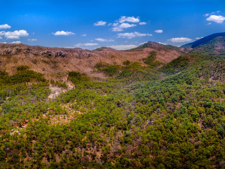 "Descubre la Magia de las Cabañas Roca Venados en Mascota, Jalisco, a Través de un Tour Virtual"
