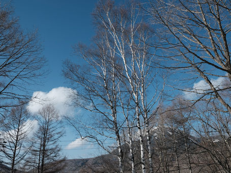 春の空。春の雲。 蓼科高原
