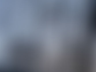 凍結したノリウツギの花 蓼科高原