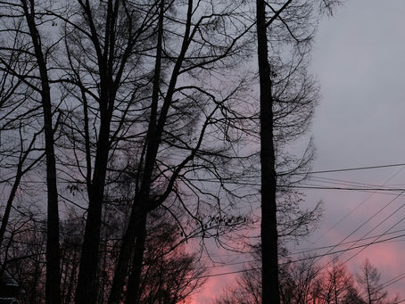 夕焼けがきれいでした