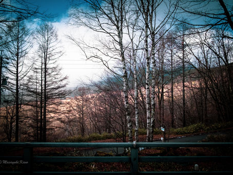 蓼科高原日記 2018/12/12