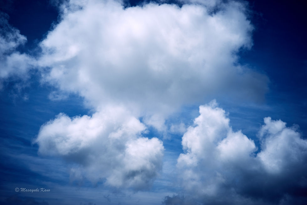 8月末にこんなに本格的な夏空になった蓼科高原