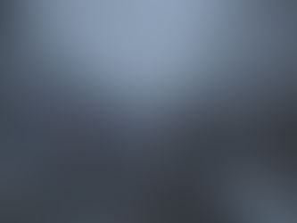 雪が降りました。