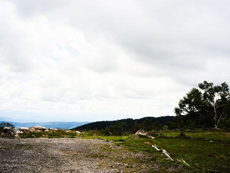 蓼科高原日記/お盆ぼんぼん