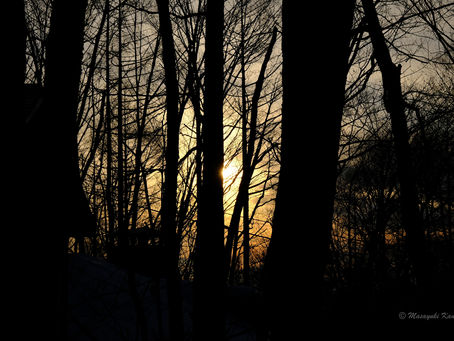 今日の夕暮れは燃え立つようだった